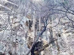 -佛慧山