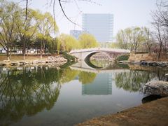 -大兴滨河森林公园