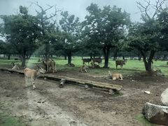 -西安秦岭野生动物园