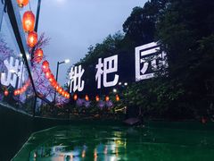-枇杷园食为鲜火锅(南山店)