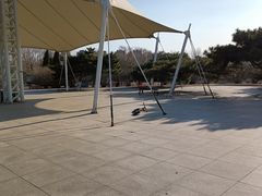 -丁香湖公园