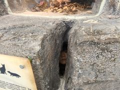 -陕西自然博物馆