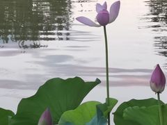 -西安市长乐公园