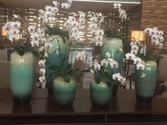 -天津海河悦榕庄·Lobby Lounge大堂吧