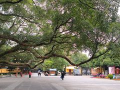 -桂林独秀峰王城景区