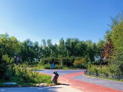 -大兴滨河森林公园