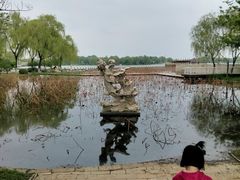 -石家庄市植物园