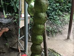 -通灵大峡谷
