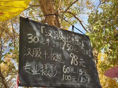 -金塔沙漠胡杨林景区