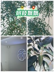 -HEYAN荷妍专业脱毛连锁机构