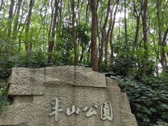 -杭州半山国家森林公园