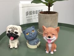 -嘉美宠物医院
