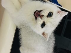 -争鲜回转寿司(流行前线店)