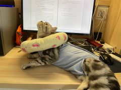 -北京恒爱动物医院(清景园分院)