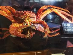 -同济大学四平路校区深海探索馆