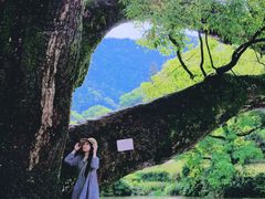 -上坦村