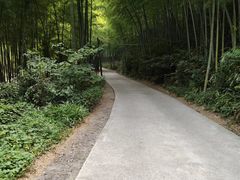 -水墨汀溪风景区