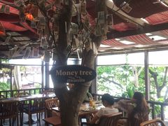 -卷心菜和避孕套餐厅(Pattaya)