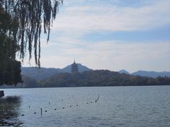 -杭州西湖柳莺里酒店·闻莺厅