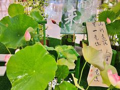 -成都银泰城
