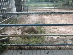 -金稼园·金平湖农家菜