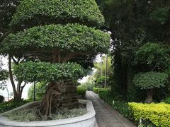 -鸿山公园