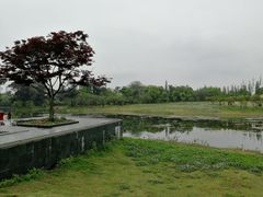 -两河城市森林公园