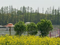-嘉北郊野公园