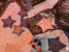 -沈阳海洋探索中心