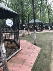 -蓝可可亲子乐园(北苑店)