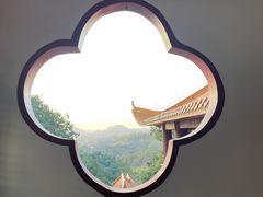 -深圳仙湖植物园