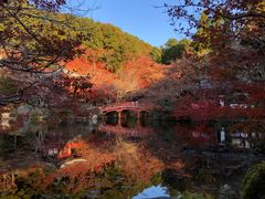 -醍醐寺