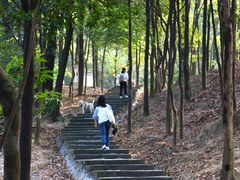 -火炉山森林公园