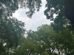 -壹块捌烧烤(灯市口店)