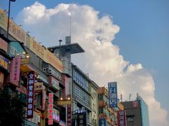 -黑色经典臭豆腐·湖南特产(步行街店)