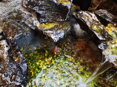 -观宴·品质赣菜(高新大道店)