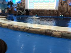 -华夏文旅海洋公园