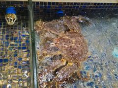 -君德澜酒家·创意粤菜(金山谷店)