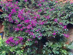 -丽江花间堂·隐泉院