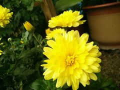 -尚水元休闲自助餐厅(中央城店)