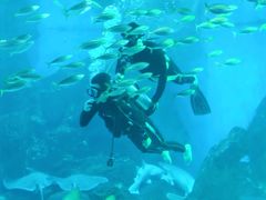 -海合安成都极地海洋公园