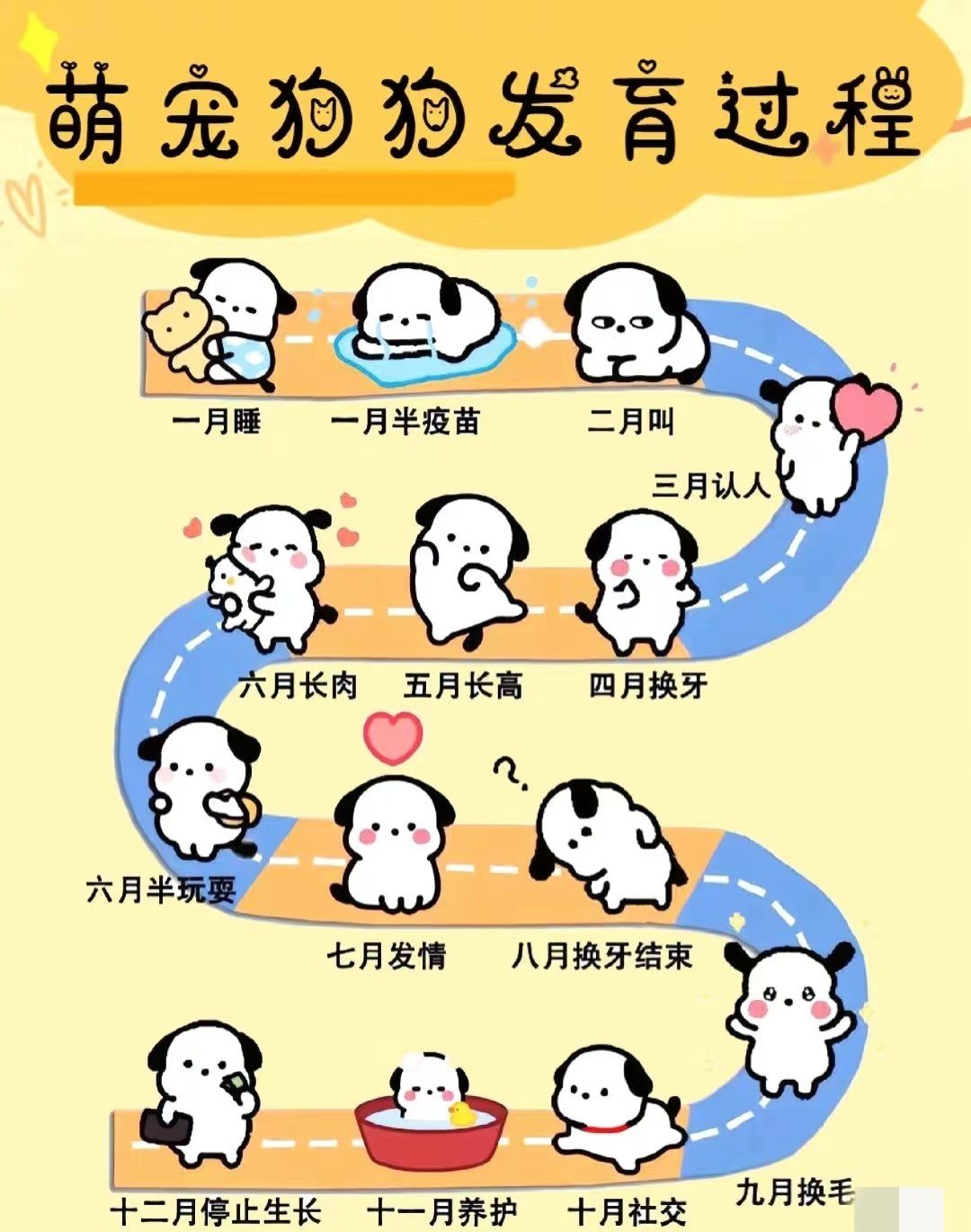 新手养狗#养狗#新手铲屎官\n狗狗的成长过程真是既有趣又充满挑战