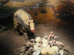 -自贡恐龙博物馆