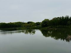 -贡湖湾湿地公园