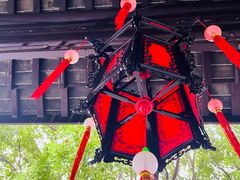 -上海佘山国家森林公园天马山园