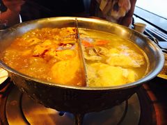 -鼎王麻辣锅(七贤店)