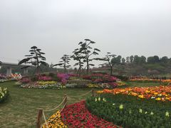 -秀丽东方