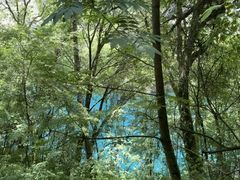 -叠溪松坪沟景区