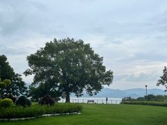 -东钱湖旅游度假区