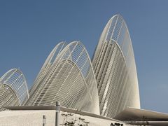 -扎耶德国家博物馆